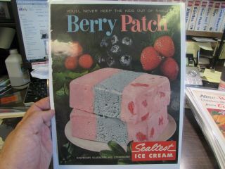 - Sealtest Ice Cream - Berry Patch - Ad 1962