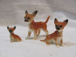 Vintage Set Of 3 Miniature Bone China Chihuahua Dog Figurines
