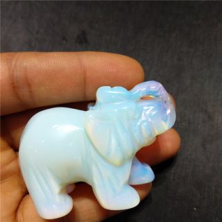 Carved Opalite Elephant Opal Quartz Crystal Gem Stone Elephant Reiki Healing