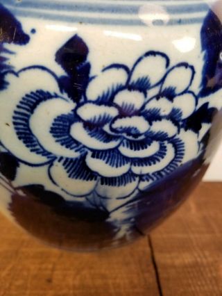 Chinese Old 18/19th Century Cobalt Blue & White Ginger Jar Floral w/ Lid 6