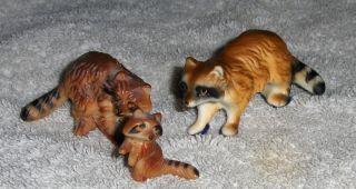 Vtg Miniature Porcelain Bisque? Raccoon Family Papa Mama Baby Raccoon Figurines