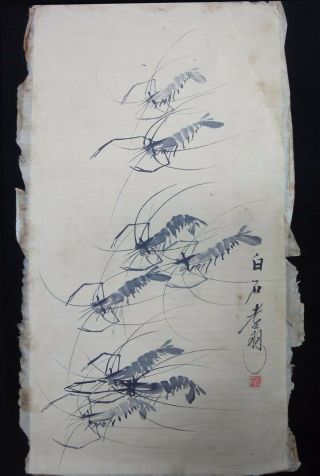 Fine Very Large Old Chinese Paper Hand Painting Shrimps " Qibaishi " Mark
