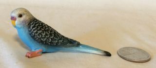 Schleich Blue Parakeet Budgie Bird Retired Animal Figure 14409 Rare Budgerigar