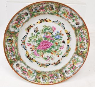 Antique Chinese Rose Medallion Porcelain Plate 19th 20th Century