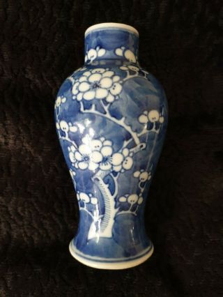 Chinese Antique Prunus Baluster Vase - Kangxi Mark Qing 19th Century 6.  5 "