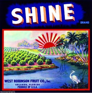 Orlando Florida Shine Bird Orange Citrus Fruit Crate Label Art Print