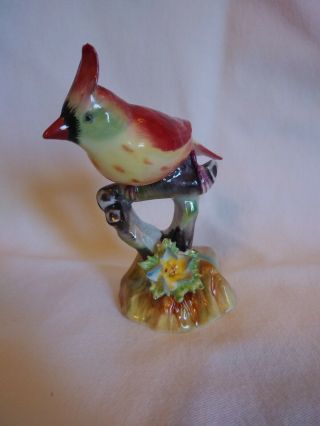 Vintage Adderley Bone China Bird Figurine " Female Cardinal "