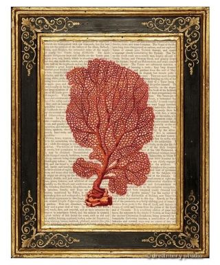 Red Sea Fan Coral Art Print On Vintage Book Page Gorgonian Sea Ocean Decor Gifts