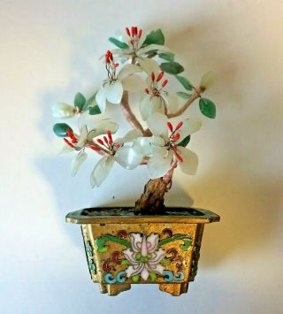 Antique Chinese Miniature Bonsai Jade Tree In Cloisonne Pot