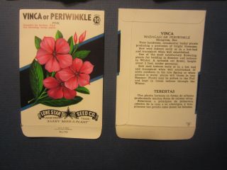 of 25 Old 1950 ' s - VINCA / PERIWINKLE Flower SEED PACKETS - EMPTY 2