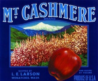 Wenatchee Washington Mt.  Cashmere Apple Fruit Crate Label Art Print