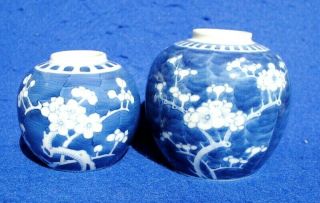 2 1900 Antique Chinese Porcelain Blue And White Prunus Blossom Ginger Jars