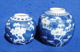 2 1900 ANTIQUE CHINESE PORCELAIN BLUE AND WHITE PRUNUS BLOSSOM GINGER JARS 3