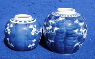 2 1900 ANTIQUE CHINESE PORCELAIN BLUE AND WHITE PRUNUS BLOSSOM GINGER JARS 4