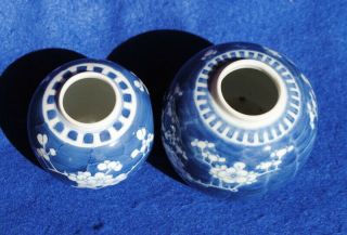 2 1900 ANTIQUE CHINESE PORCELAIN BLUE AND WHITE PRUNUS BLOSSOM GINGER JARS 5