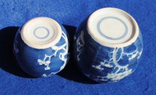 2 1900 ANTIQUE CHINESE PORCELAIN BLUE AND WHITE PRUNUS BLOSSOM GINGER JARS 6