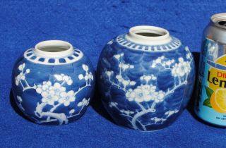 2 1900 ANTIQUE CHINESE PORCELAIN BLUE AND WHITE PRUNUS BLOSSOM GINGER JARS 8
