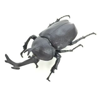 Konchu Hunter Insect Real Size Figure Japanese Rhinoceros Beetle Black F - Toys