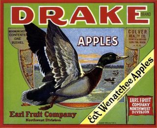 Carlton Washington State Drake Duck Apple Fruit Crate Box Label Art Print