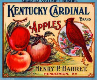 Henderson Kentucky Cardinal Bird Apple Fruit Crate Label Vintage Art Print