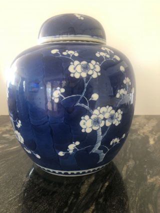 Chinese Porcelain Ginger Jar Hand Painted Prunus Blue And White China 8 1/2”