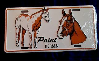 American Paint Horse Breed - Embossed Metal License Plate -