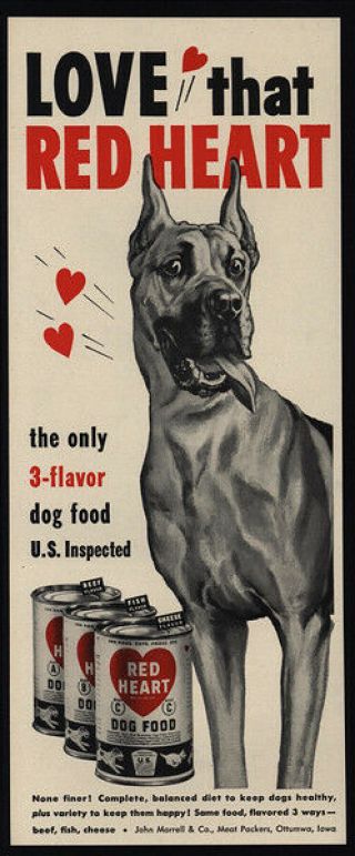 1951 Cute Great Dane Puppy Dog Loves Red Heart Dog Food Vintage Ad