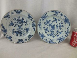 Kangxi 1662 - 1722 Chinese Porcelain Blue And White Plates