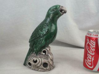 19th C Chinese Porcelain Famille Verte Model Of A Parrot