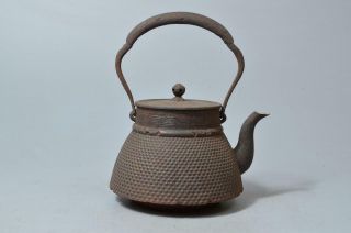 T3356: Japanese Old Iron Arare Pattern Shapely Tea Kettle Teapot Tetsubin