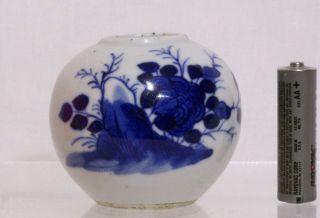 Small 19th Century Chinese Qing Dynasty Blue And White Porcelain Waterpot