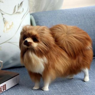 Brown Pomeranian Realistic Animal In Fur Figurine For Home Or Office Gifts