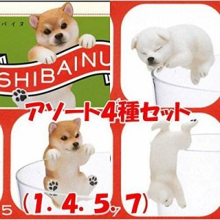 Kitan Club Putitto Series Shiba Inu Dog Animal Cup Edge Set Of 4 Japan Japan