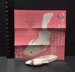Kitan Club Kaiyodo Swimming White Axolotl Mud Puppy Salamander Magnet Figure