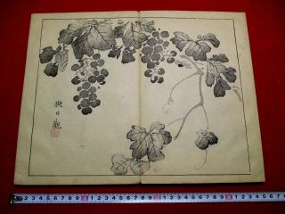 2 - 20 Chikudo Japanese Ehon Woodblock Print Book