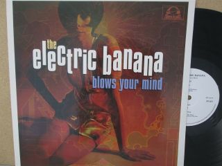 The Electric Banana/pretty Things Blows Your Mind Lp 1997 Vinyl Best Of Psych
