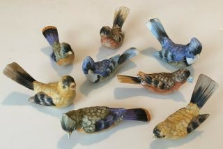 Vintage Ceramic Birds Set Of 8 Made In Japan