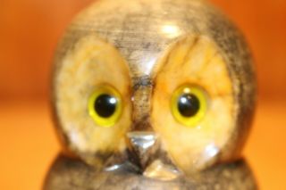 Vintage Hand Carved Alabaster Italian Marble Stone Owl Paperweight 4