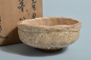 T2553: Japanese Old Shino - Ware White Glaze Tea Bowl Green Tea Tool W/box