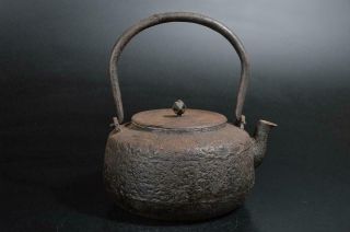 T2365: Japanese Old Iron Shapely Tea Kettle Teapot Tetsubin Tea Ceremony