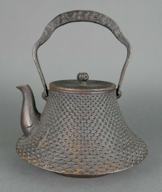 Fine Antique Japanese Cast Iron Tetsubin Teapot Kettle