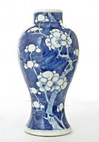 Antique Chinese Blue & White Prunus Porcelain Vase,  Double Ring Mark,  6 1/2 " H.