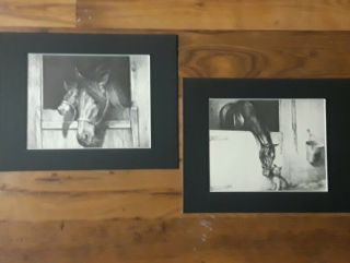 2 Horse Print,  " Stable Mates " By C.  W.  Anderson 11 " X 14 " Matted,  C.  1939