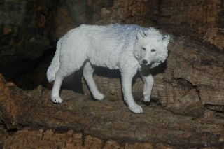Safari White Wolf Wild Life Figurine Nativity Scene Presepio Pesebre Lobo