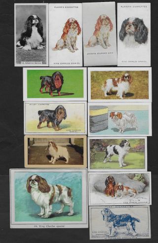 16 Different Vintage Cavalier King Charles Spaniel Tobacco/tea/promo Dog Cards