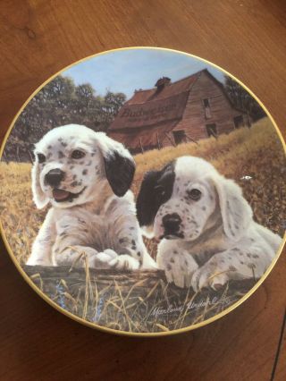 Budweiser " Outstanding In Their Field " Ltd Ed 8.  5 " Plate Dalmatian Puppies 1993