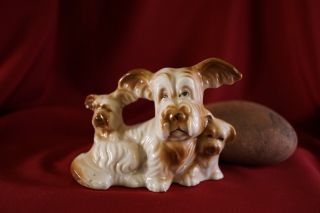 Vintage Skye Terrier Trio Dog Figurine Japan Porcelain Mama W/puppies 31/8 " T Sk7