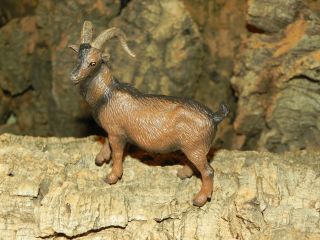 Papo Billy Goat Figurine For 5.  5 " Nativity Scene Presepio Pesebre Cabra Animal