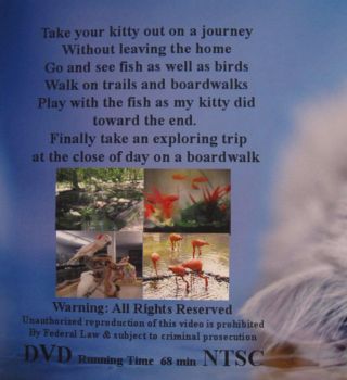 DVD FOR CATS - TAKE YOUR KITTY ON A JOURNEY WITHOUT LEAVING YOUR HOME 2
