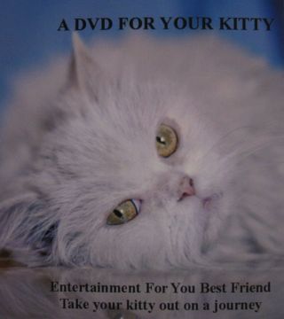 DVD FOR CATS - TAKE YOUR KITTY ON A JOURNEY WITHOUT LEAVING YOUR HOME 3